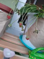 20210617_214816.webp