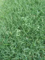 IMG_20210618_094436_klein.webp