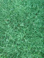 IMG_20210618_094445_klein.webp