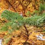 20210618_202335.webp