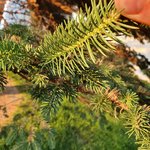 20210618_202249.jpg
