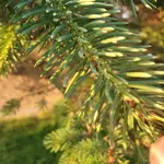 20210618_202217.webp