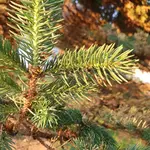 20210618_202241.webp