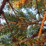 20210618_201856.webp