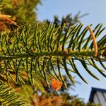 20210618_201652.jpg