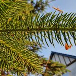20210618_201641.jpg