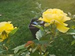 20210618_210200.jpg