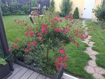 20210618_210358.jpg