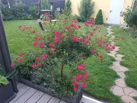 20210618_210358.webp
