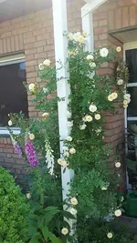 20210618_112733.webp