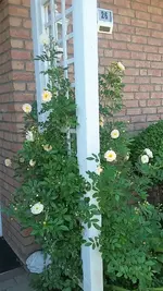 20210618_112745.webp