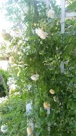 20210618_112804.webp