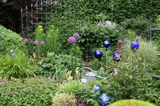Mai2316.webp