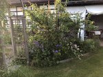 IMG_2076.JPG