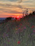 IMG_20210616_212128.jpg