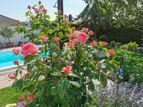 IMG_20210619_094130.webp
