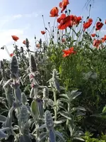 20210613_081708 ver.webp