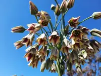 20210613_163600 v.webp