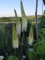 20210616_202956 (1)ver.webp