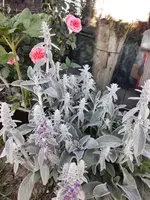 20210617_073601 (1)ver.webp