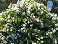 20210617_073846 ver.webp