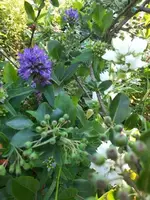 20210619_072054 v.webp