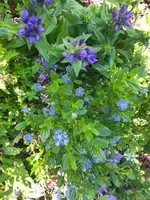 20210619_072237 v.webp