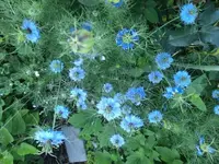 20210619_072450 v.webp