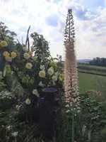 20210619_085913 (2) v.webp