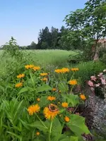 20210619_083548 v.webp