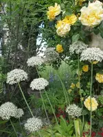 20210619_084449 v.webp