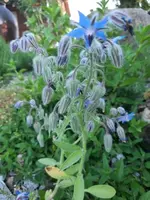 20210619_073226 v.webp