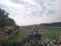 20210619_084347 (2) v.webp