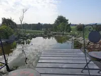 20210619_085013 v.webp