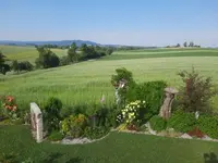 20210619_082853das nehmen.webp