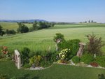 20210619_082853das nehmen.jpg