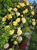 20210619_072256 v.webp