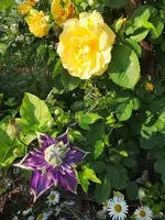 20210619_072924 v.webp