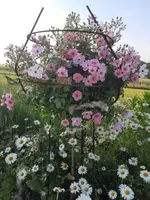 20210619_072813 v.webp