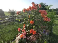 20210619_072130 v.webp