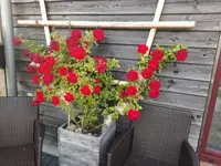 20210619_072605 v.webp