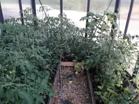 20210619_181611.webp
