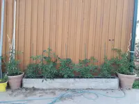 20210619_181514.webp