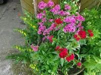 DSC01811.webp