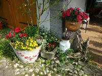DSC01812.webp