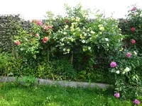 DSC01813.webp