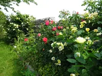 DSC01815.webp