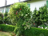 DSC01816.webp