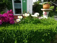 DSC01817.webp