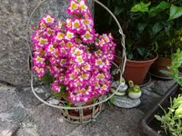 DSC01818.webp
